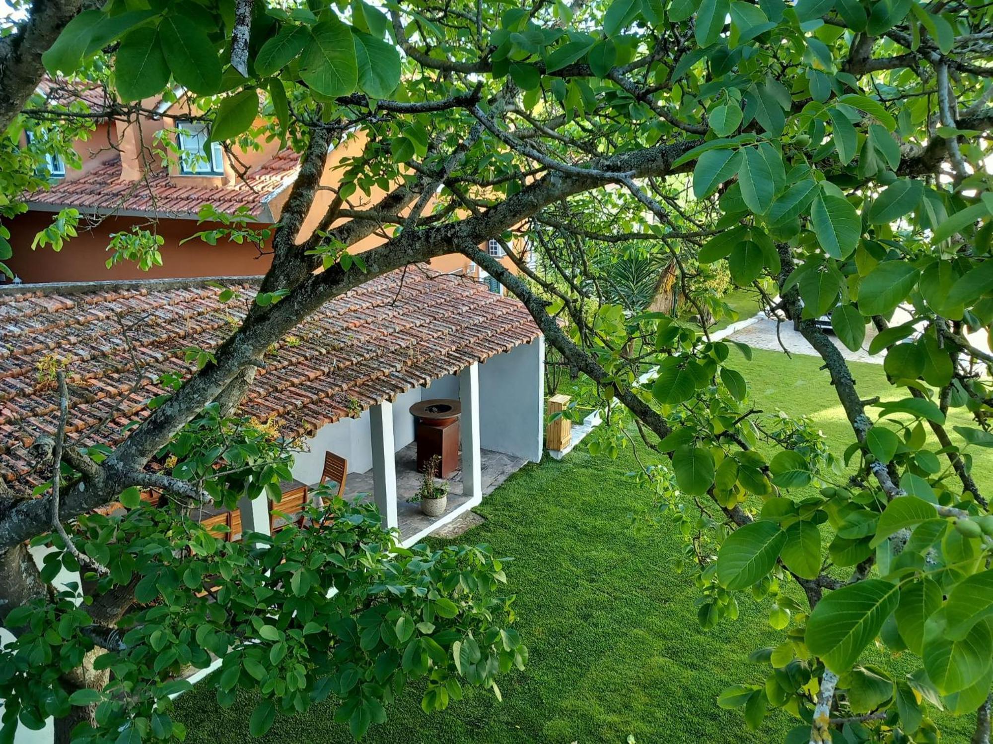Villa In Sintra - Casa Da Penha Ferrim Kültér fotó