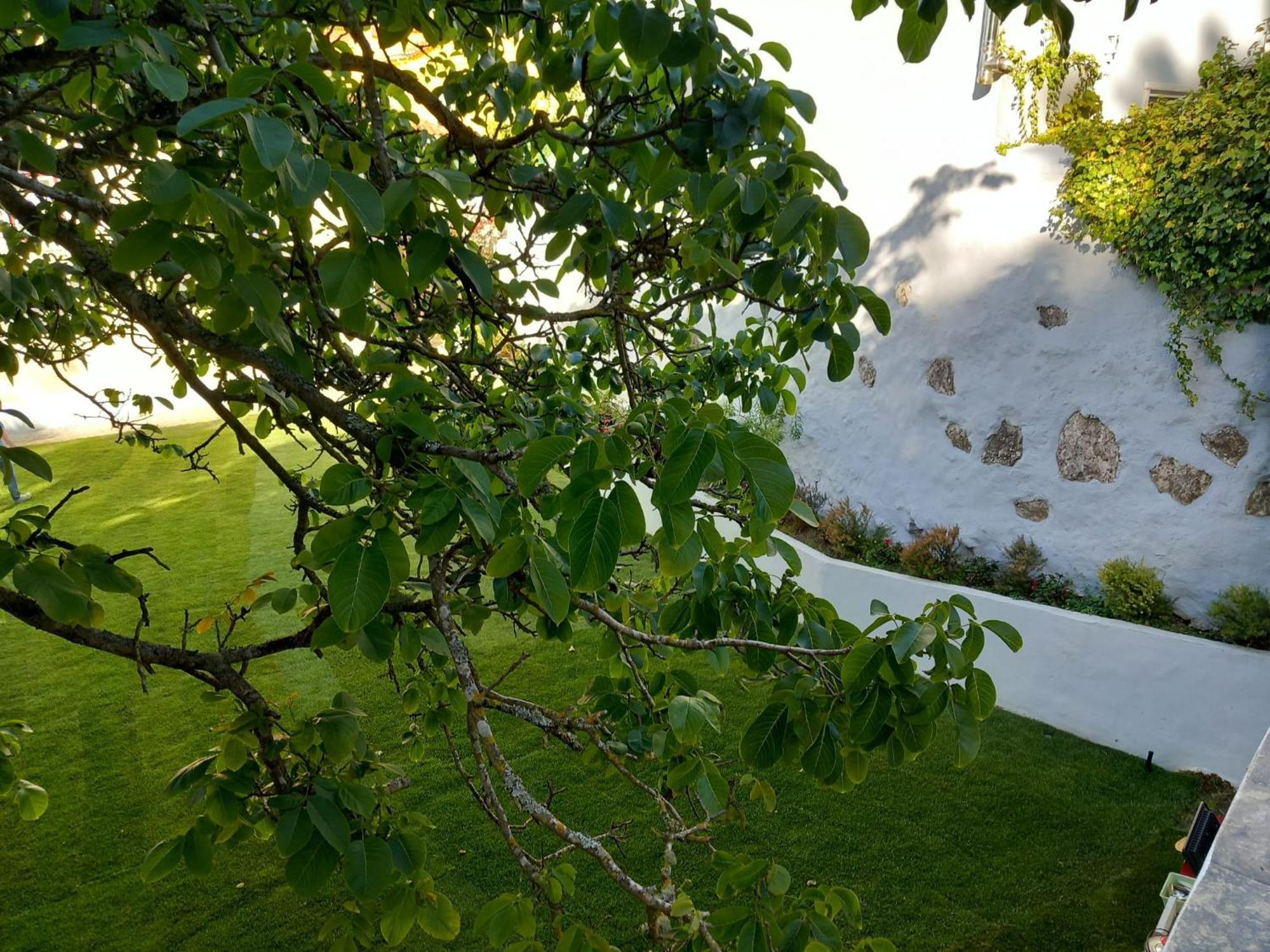 Villa In Sintra - Casa Da Penha Ferrim Kültér fotó