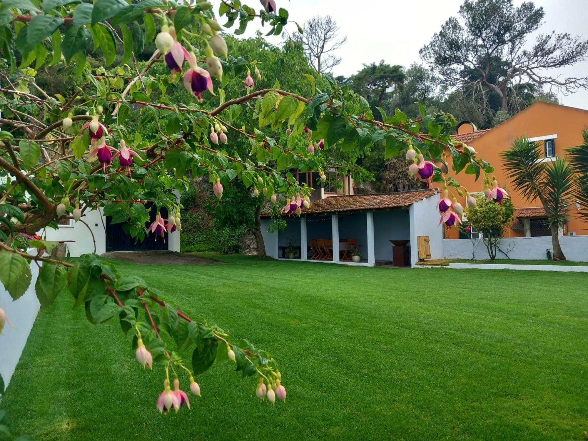 Villa In Sintra - Casa Da Penha Ferrim Kültér fotó