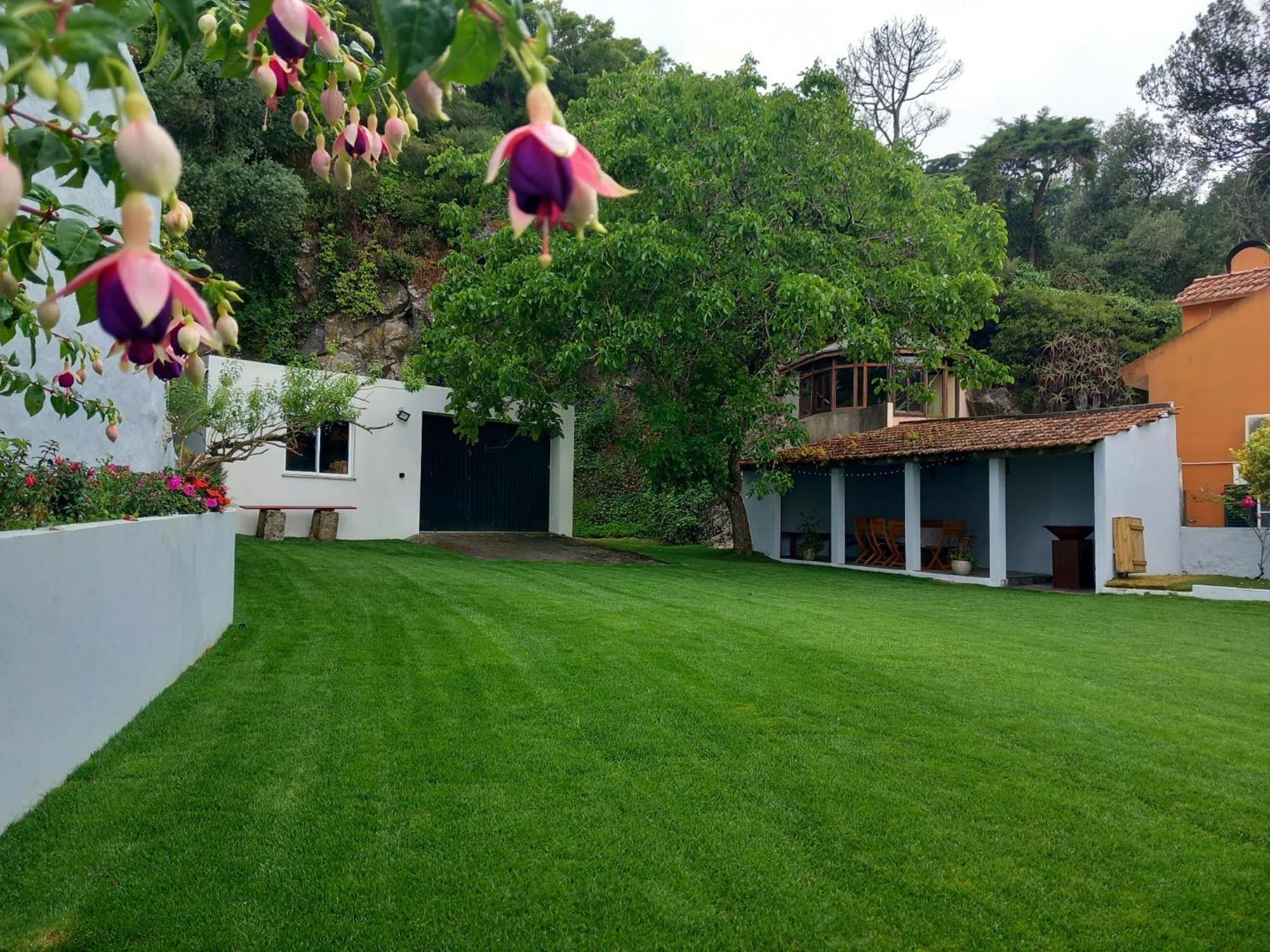 Villa In Sintra - Casa Da Penha Ferrim Kültér fotó